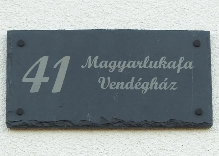 Hébergement de vacances Guest House Magyarlukafa